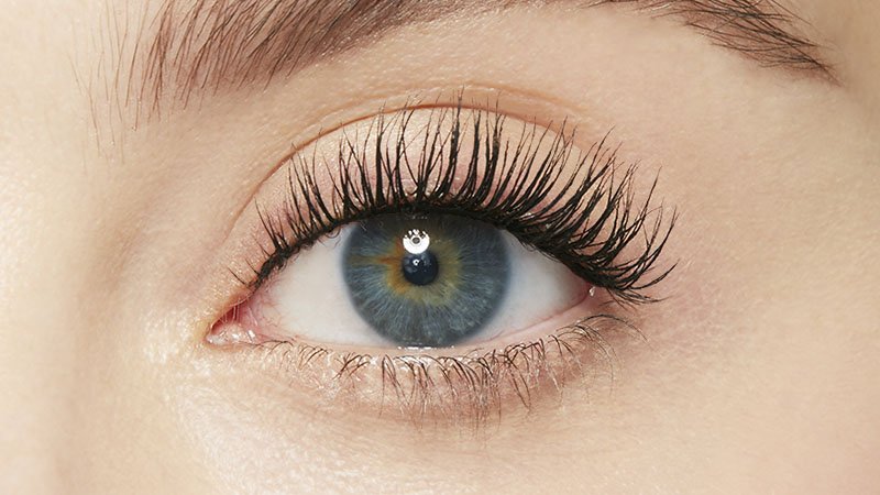 LashLift After W800xH450